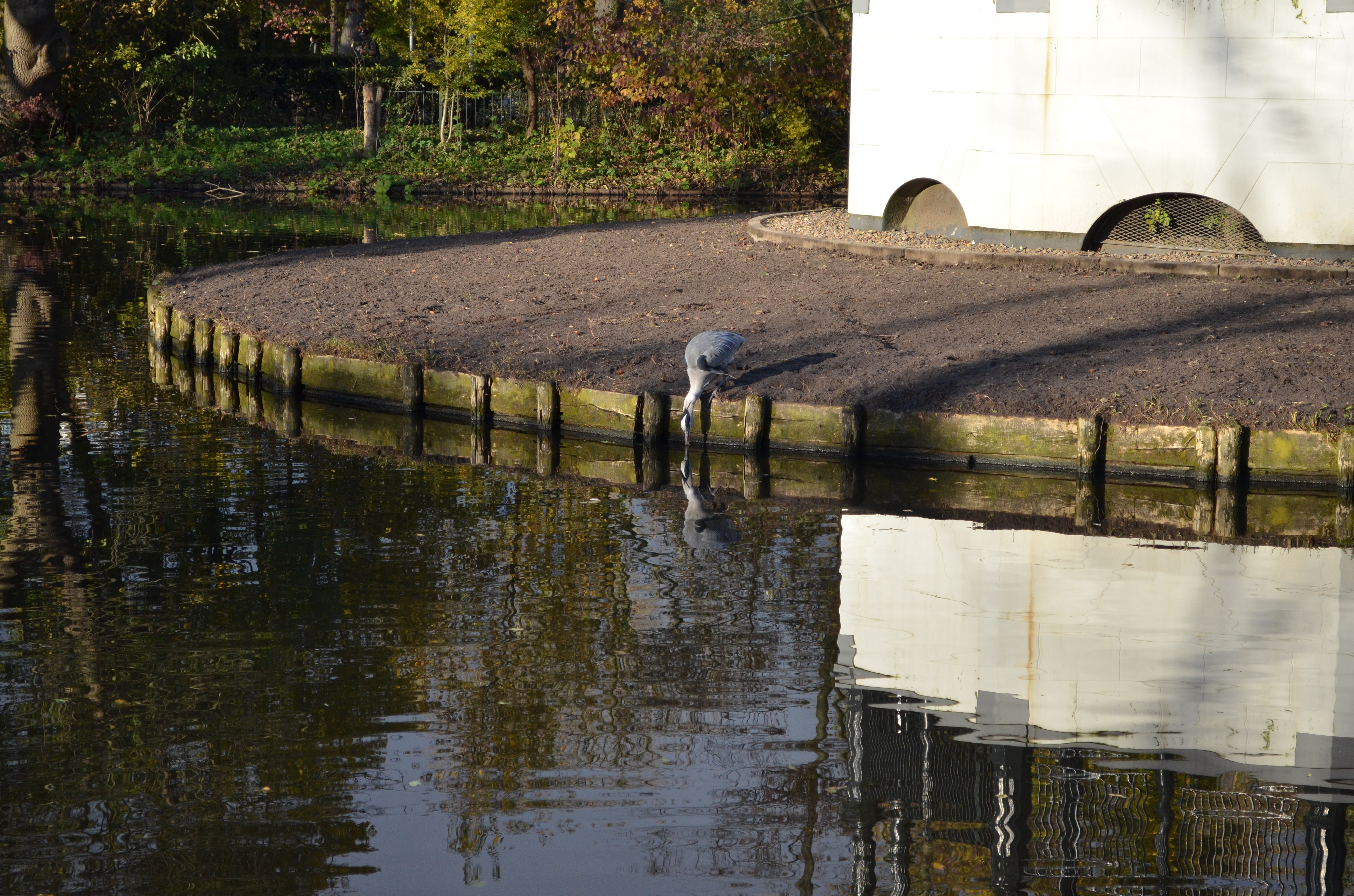 ./2017/19 - Viking Lif/13 - Amsterdam, The Netherlands/DSC_0607.JPG